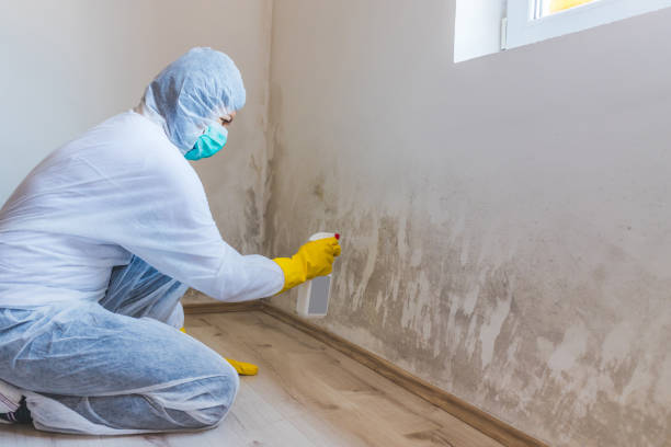 Mold inspector in Princeton Junction performing thermal imaging